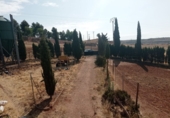 Finca rústica en venta en Almedina ref: TR81073 foto