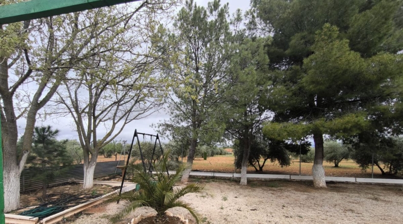 Ciudad Real - Cózar - 19300m2