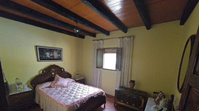 Ciudad Real - Cózar - 19300m2
