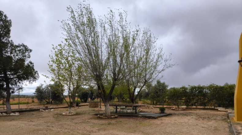 Ciudad Real - Cózar - 19300m2