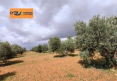 Xalet independent amb terreny en venda a Valdepeñas ref.: TR105105 foto