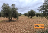 Xalet independent amb terreny en venda a Valdepeñas ref.: TR105105 foto