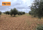 Xalet independent amb terreny en venda a Valdepeñas ref.: TR105105 foto