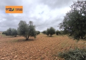 Xalet independent amb terreny en venda a Valdepeñas ref.: TR105105 foto