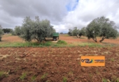 Xalet independent amb terreny en venda a Valdepeñas ref.: TR105105 foto
