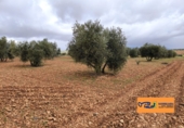 Xalet independent amb terreny en venda a Valdepeñas ref.: TR105105 foto