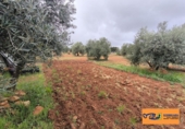 Xalet independent amb terreny en venda a Valdepeñas ref.: TR105105 foto