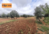 Xalet independent amb terreny en venda a Valdepeñas ref.: TR105105 foto
