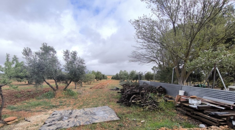 Ciudad Real - Cózar - 19300m2