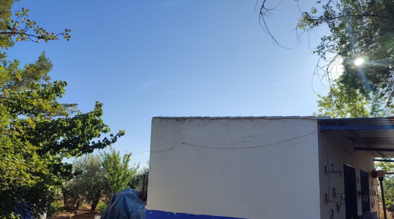 Ciudad Real - Cózar - 16032m2