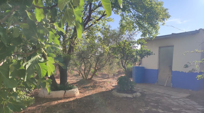 Ciudad Real - Cózar - 16032m2