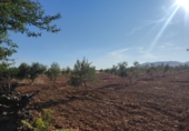 Casa de camp amb terreny en venda a Valdepeñas ref.: TR188437 foto