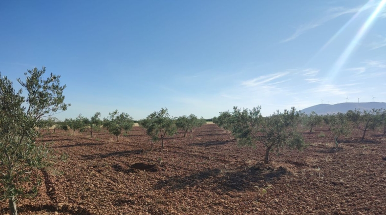 Ciudad Real - Cózar - 16032m2
