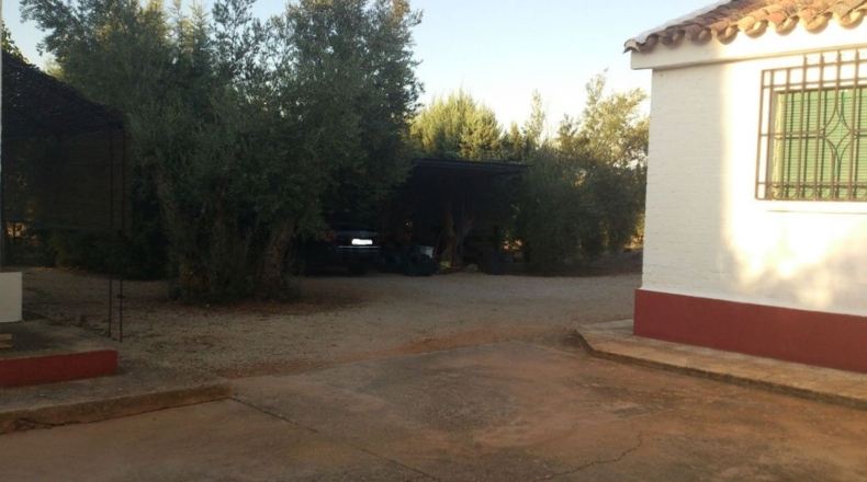 Ciudad Real - Valdepeñas - 5318m2
