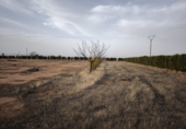 Terreno no urbanizable en venta en Valdepeñas ref: TR182965 foto