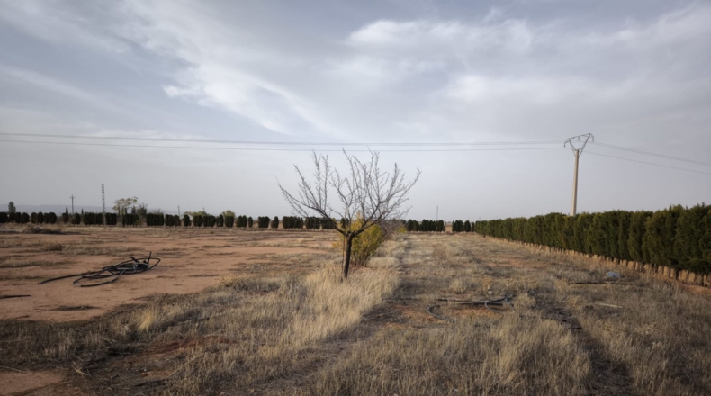 Ciudad Real - Valdepeñas - 16377m2