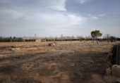 Terreno no urbanizable en venta en Valdepeñas ref: TR182965 foto