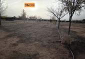 Terreno no urbanizable en venta en Valdepeñas ref: TR182965 foto