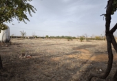 Terreno no urbanizable en venta en Valdepeñas ref: TR182965 foto