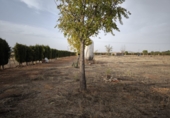 Terreno no urbanizable en venta en Valdepeñas ref: TR182965 foto