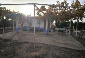 Foto 11