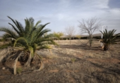 Terreno no urbanizable en venta en Valdepeñas ref: TR182965 foto