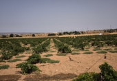 Finca rústica en venda a Valdepeñas ref.: TR181206 foto