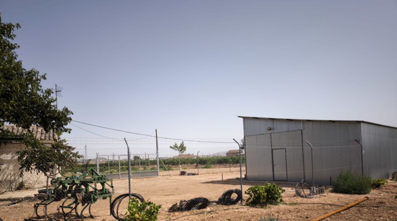 Ciudad Real - Valdepeñas - 65500m2