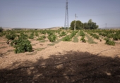 Finca rústica en venda a Valdepeñas ref.: TR181206 foto