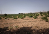 Finca rústica en venda a Valdepeñas ref.: TR181206 foto