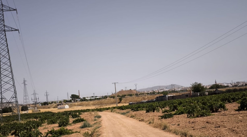 Ciudad Real - Valdepeñas - 65500m2