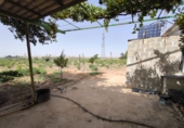 Finca rústica en venda a Valdepeñas ref.: TR181206 foto
