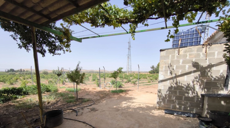 Ciudad Real - Valdepeñas - 65500m2