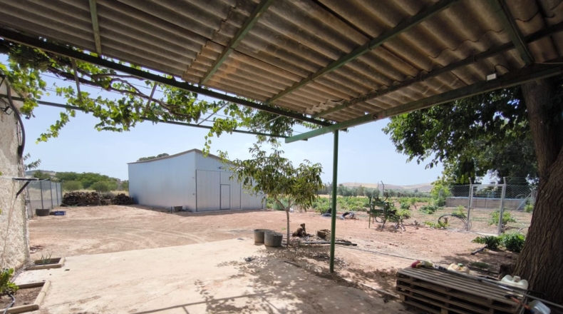 Ciudad Real - Valdepeñas - 65500m2