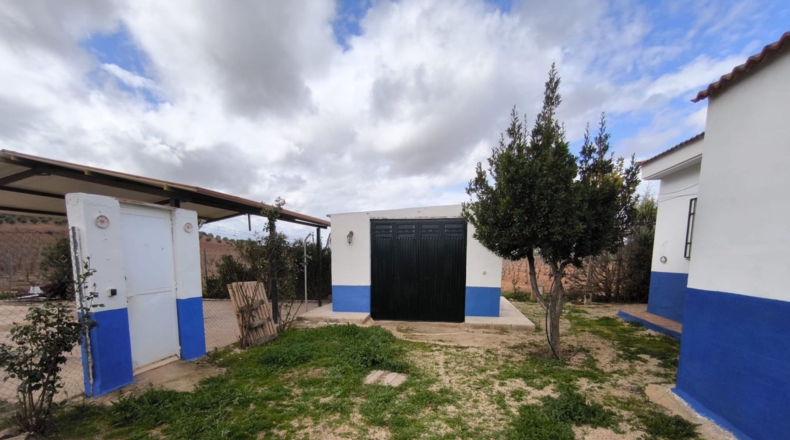 Ciudad Real - Valdepeñas - 4759m2