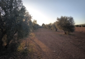 Finca rústica en venda a Valdepeñas ref.: TR285072 foto