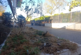 Foto 14