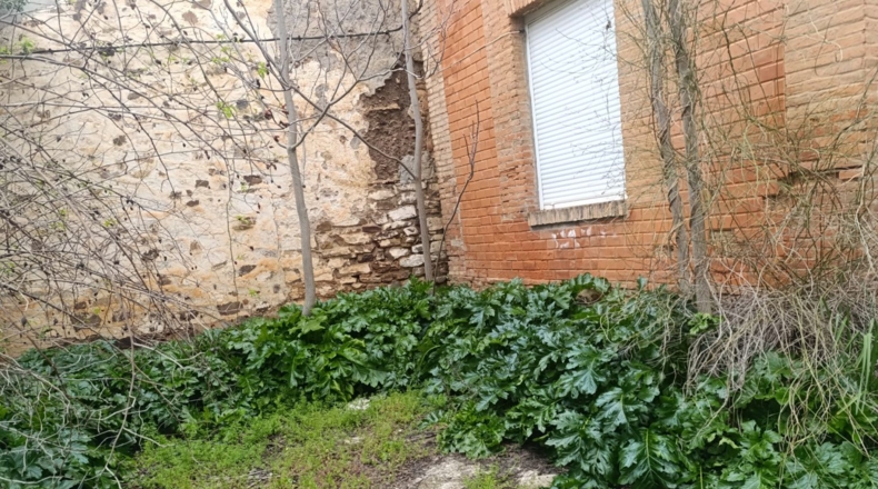 Ciudad Real - Santa Cruz de Mudela - 701m2