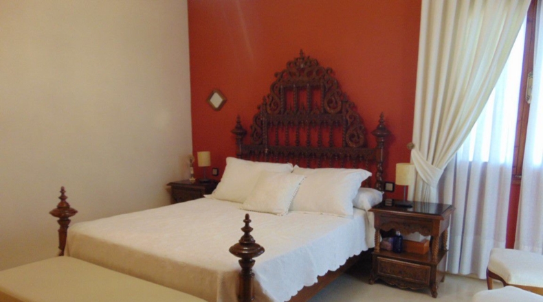Ciudad Real - Valdepeñas - 1500m2