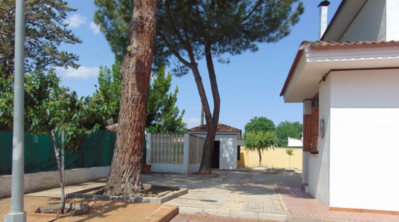 Ciudad Real - Valdepeñas - 1500m2