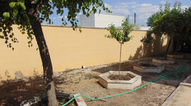 Ciudad Real - Valdepeñas - 1500m2