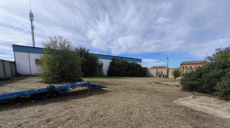 Ciudad Real - Valdepeñas - 1427m2