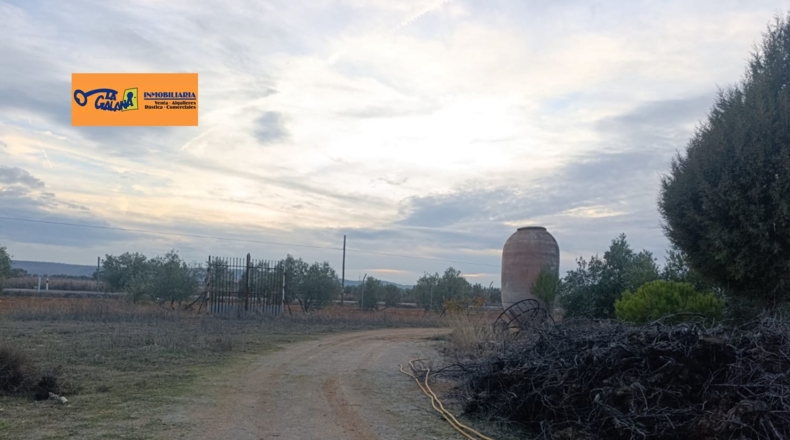 Сьюдад-Реаль - Valdepeñas - 222m2