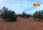 Rural estate for sale in Valdepeñas ref: TR367068 photo