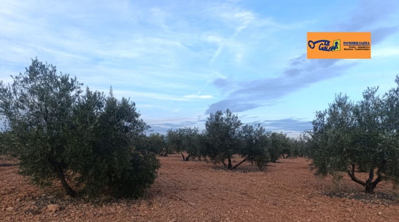 Сьюдад-Реаль - Valdepeñas - 222m2