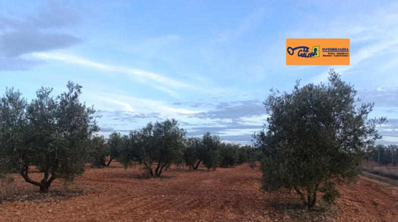Сьюдад-Реаль - Valdepeñas - 222m2