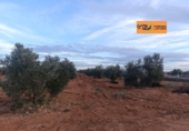 Rural estate for sale in Valdepeñas ref: TR367068 photo