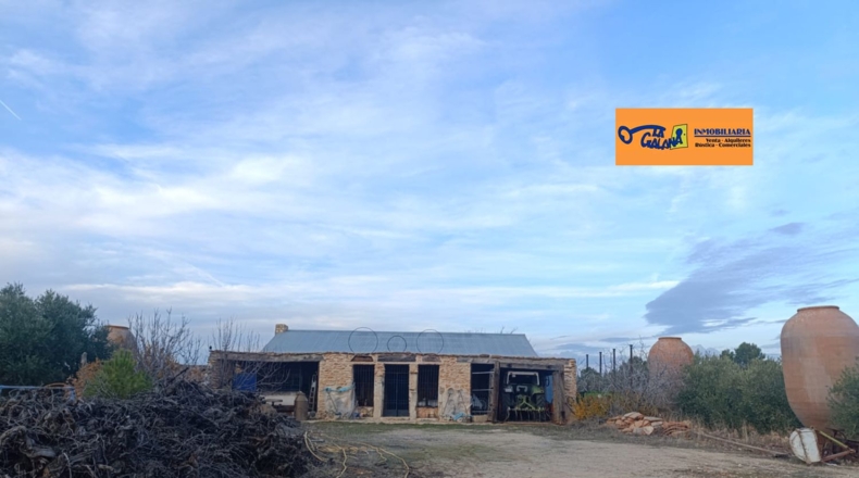 Сьюдад-Реаль - Valdepeñas - 222m2