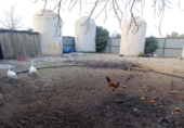 Rural estate for sale in Valdepeñas ref: TR367068 photo