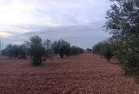 Foto 19